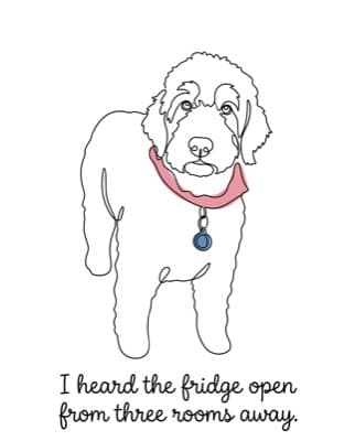 Pablo's letter in line drawing style: I heard the fridge open from three rooms away
